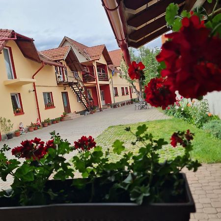 Vila Vladut Zărneşti 외부 사진