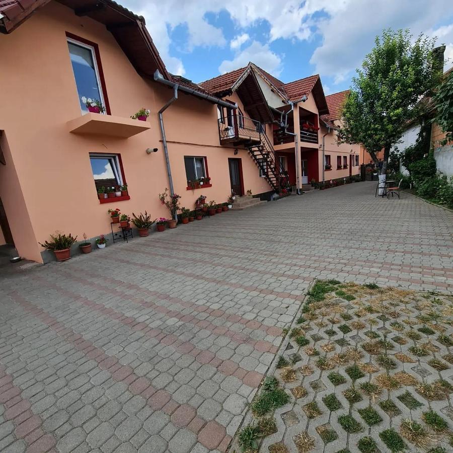 Vila Vladut Zărneşti 외부 사진