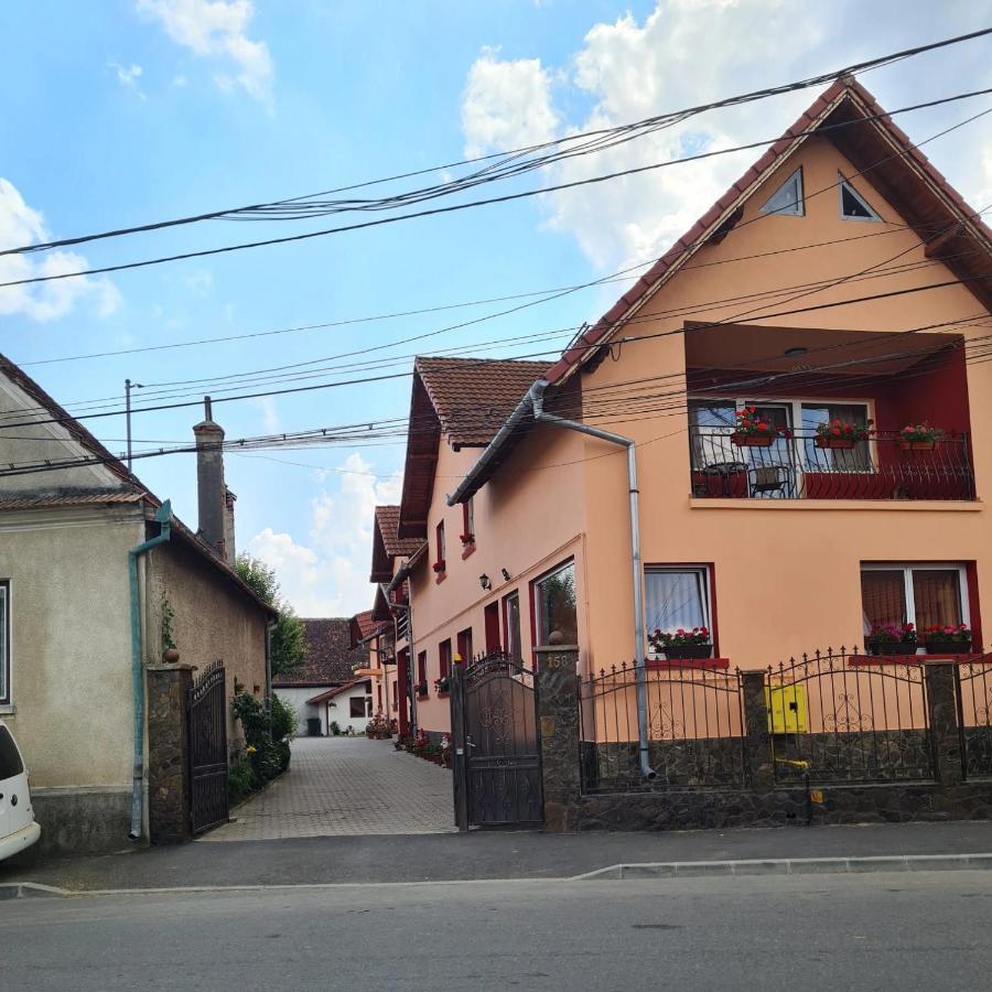 Vila Vladut Zărneşti 외부 사진