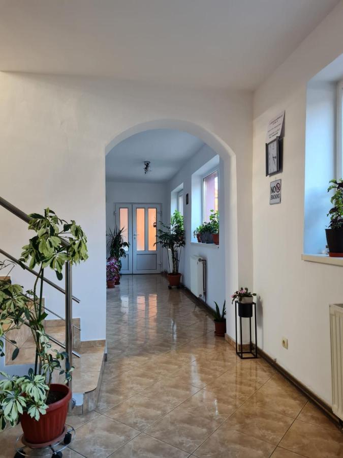 Vila Vladut Zărneşti 외부 사진
