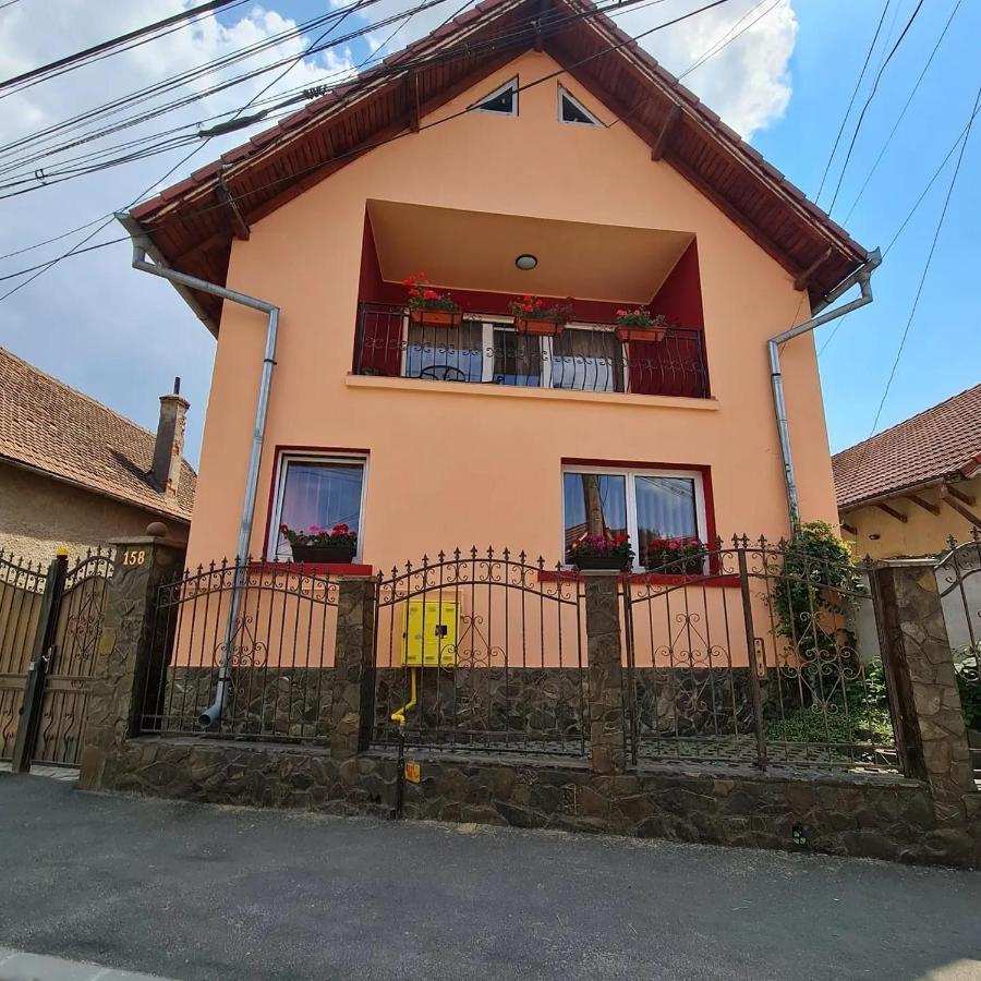 Vila Vladut Zărneşti 외부 사진