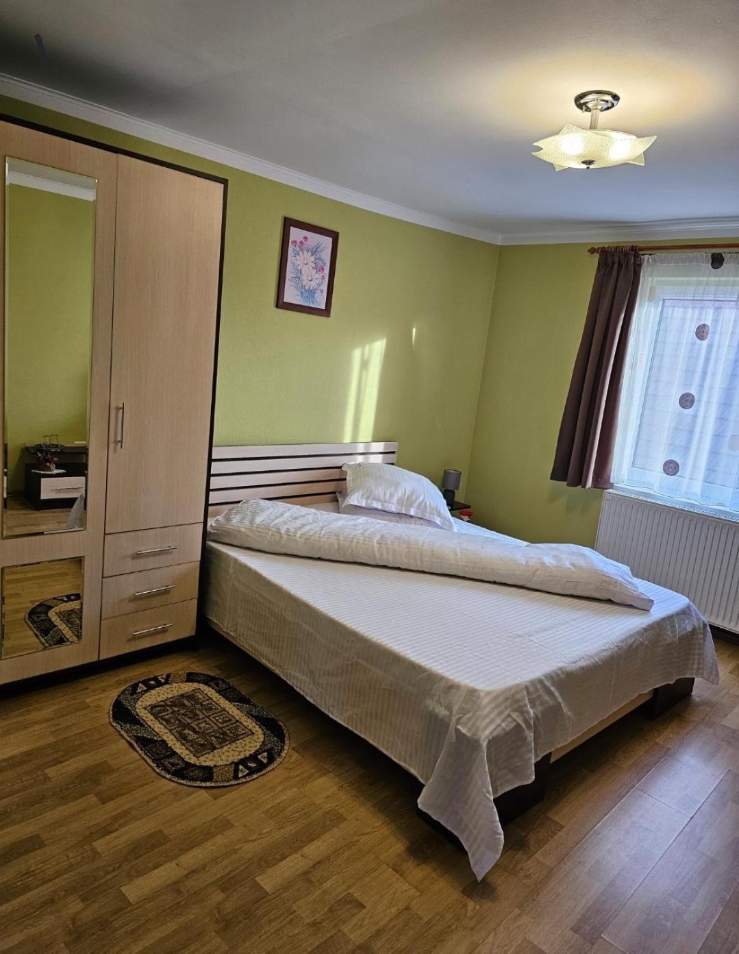 Vila Vladut Zărneşti 외부 사진