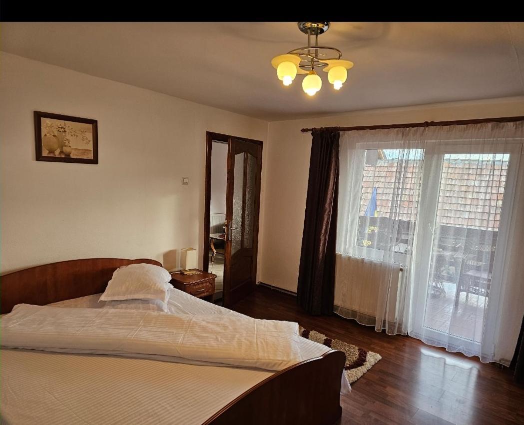 Vila Vladut Zărneşti 외부 사진