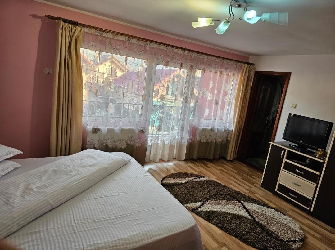 Vila Vladut Zărneşti 외부 사진