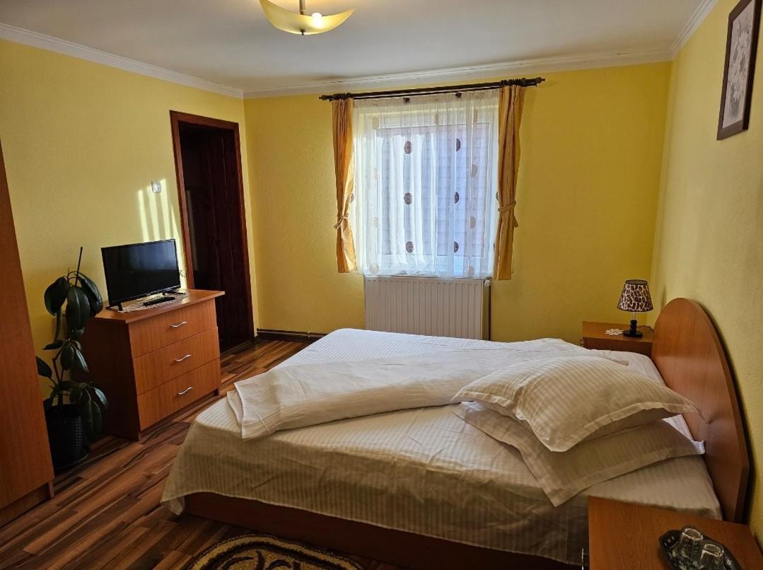 Vila Vladut Zărneşti 외부 사진