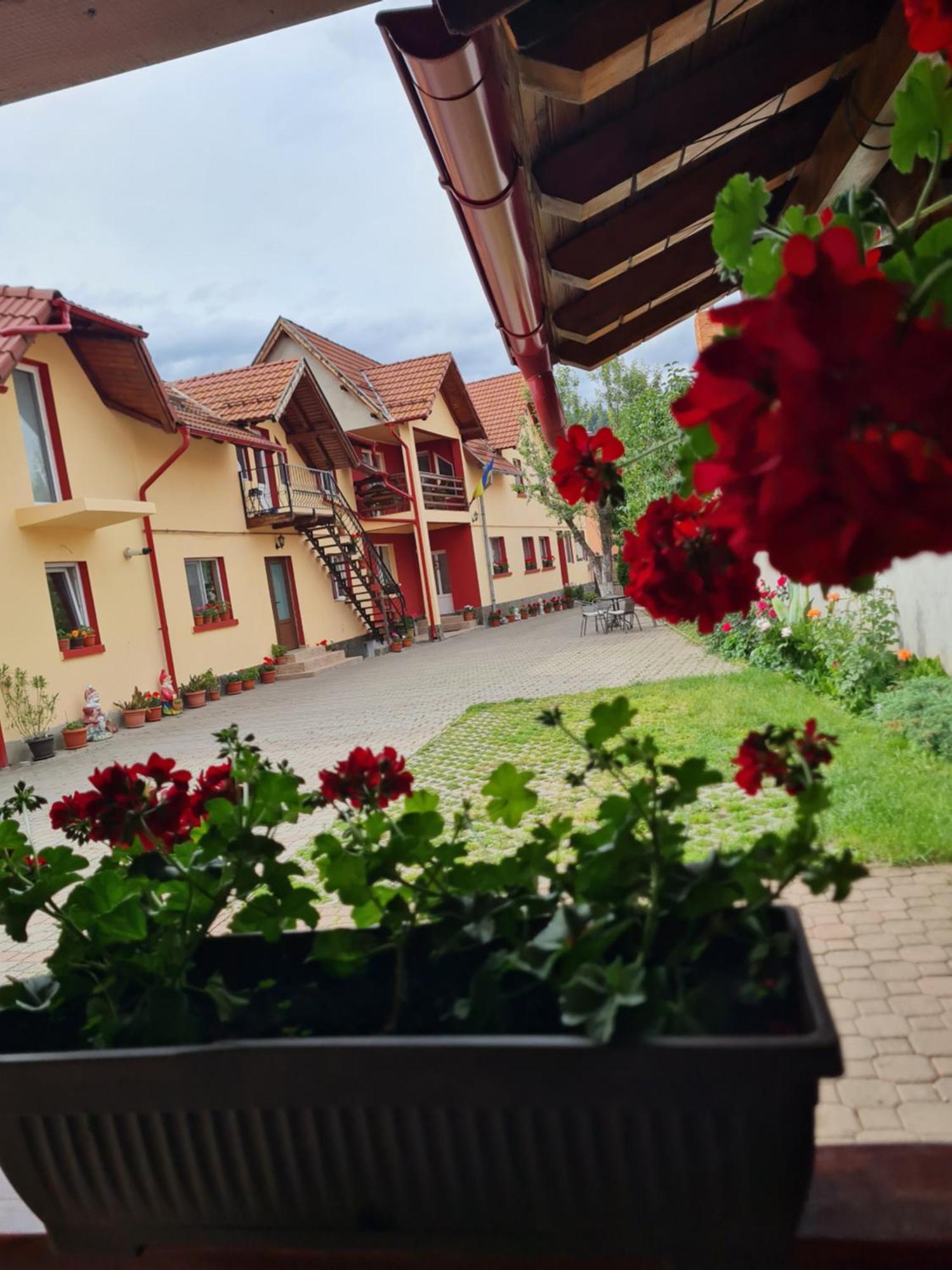 Vila Vladut Zărneşti 외부 사진